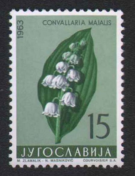 Djurdjevak 1963 godina Djurdjevak 1963 godina